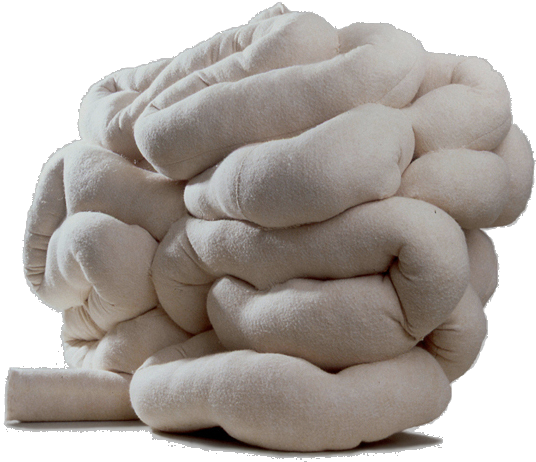 Intestines